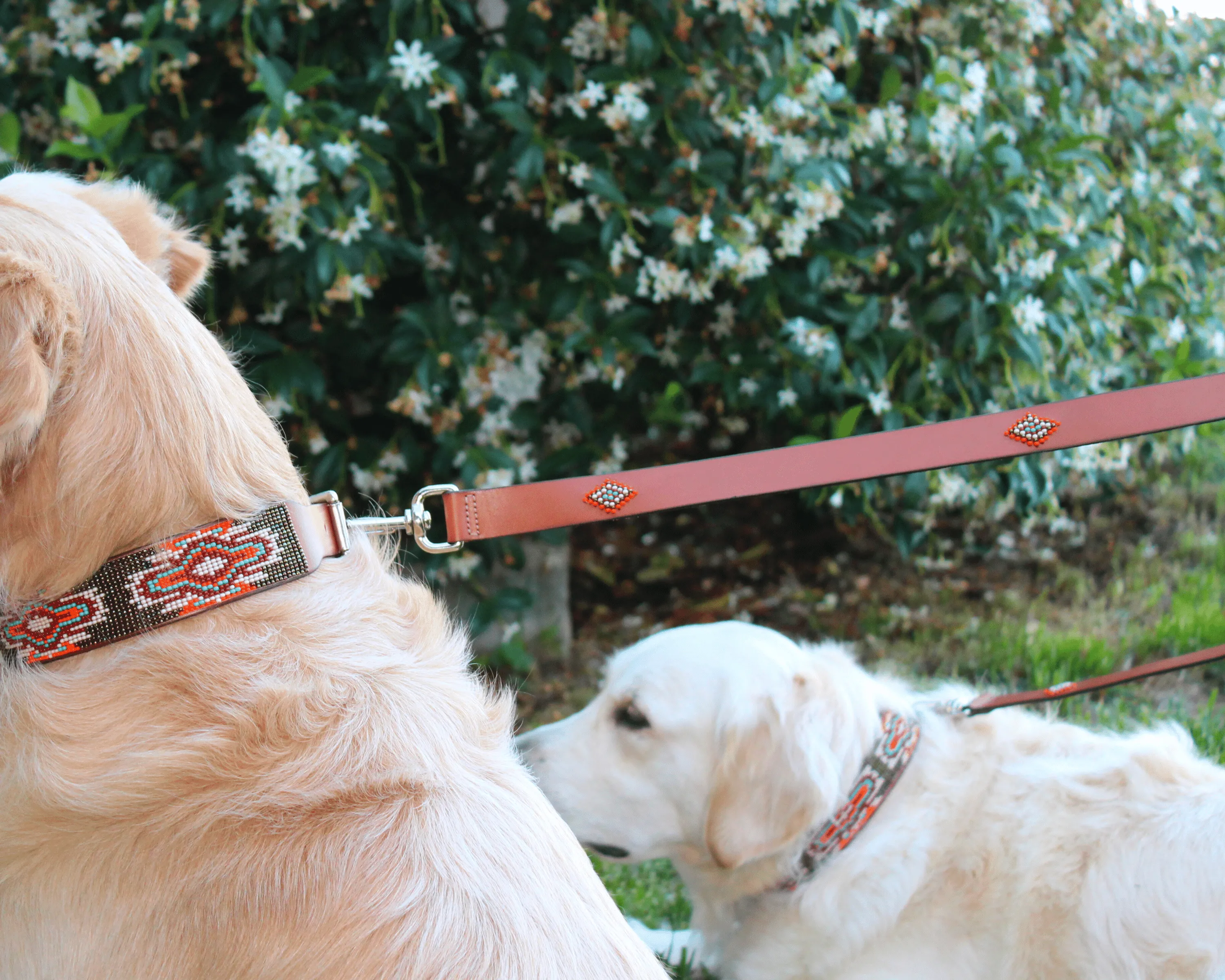 Boho Chic Dog Leash