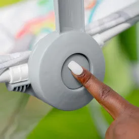 Bright Starts Playful Paradise Portable Swing