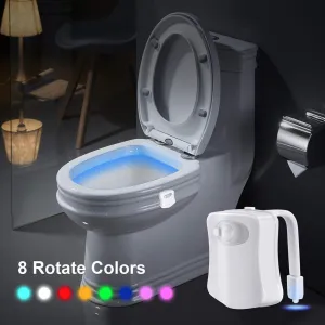Lighted Toilet