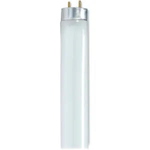 Satco 32-watt 48" T8 Fluorescent Bulbs