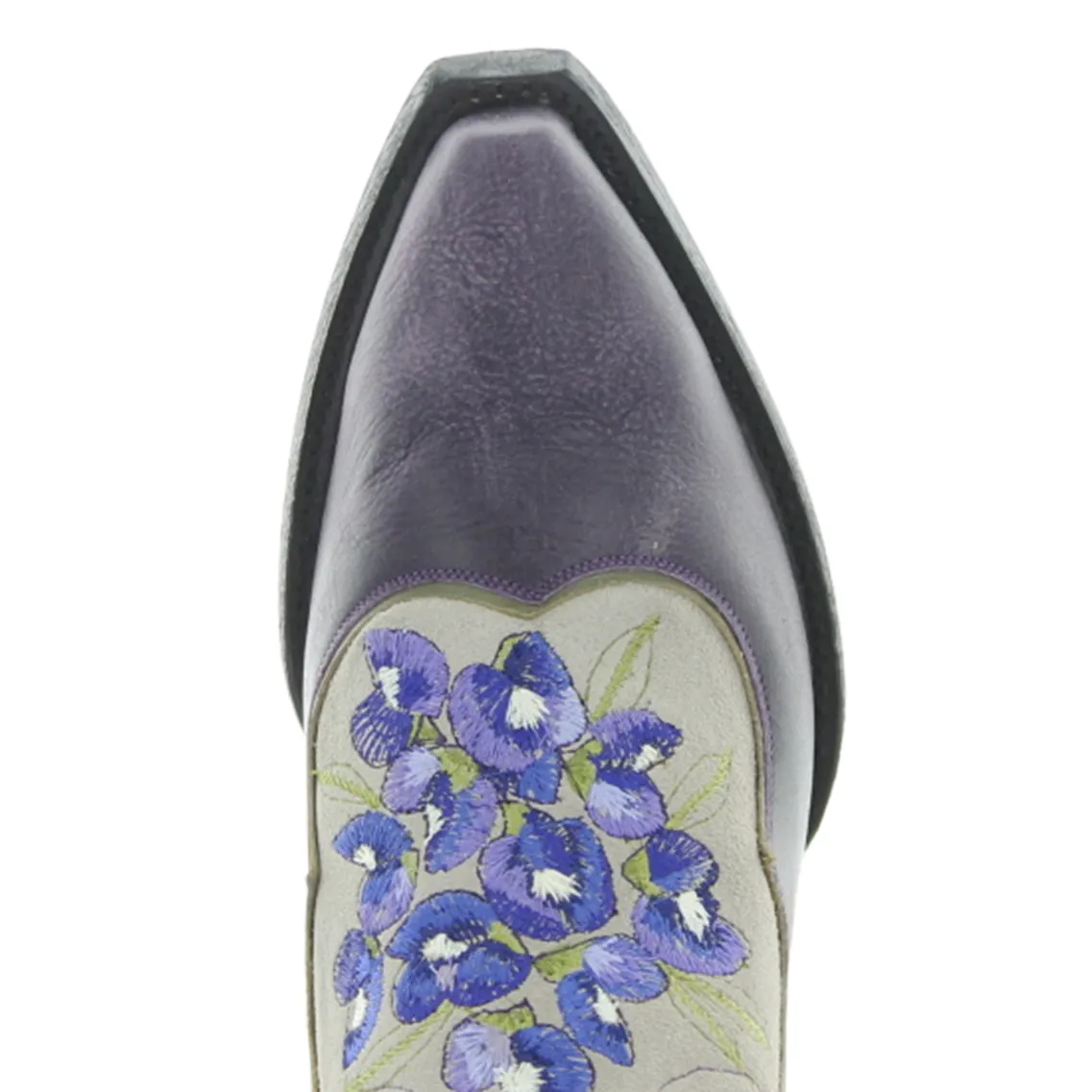 VIOLA