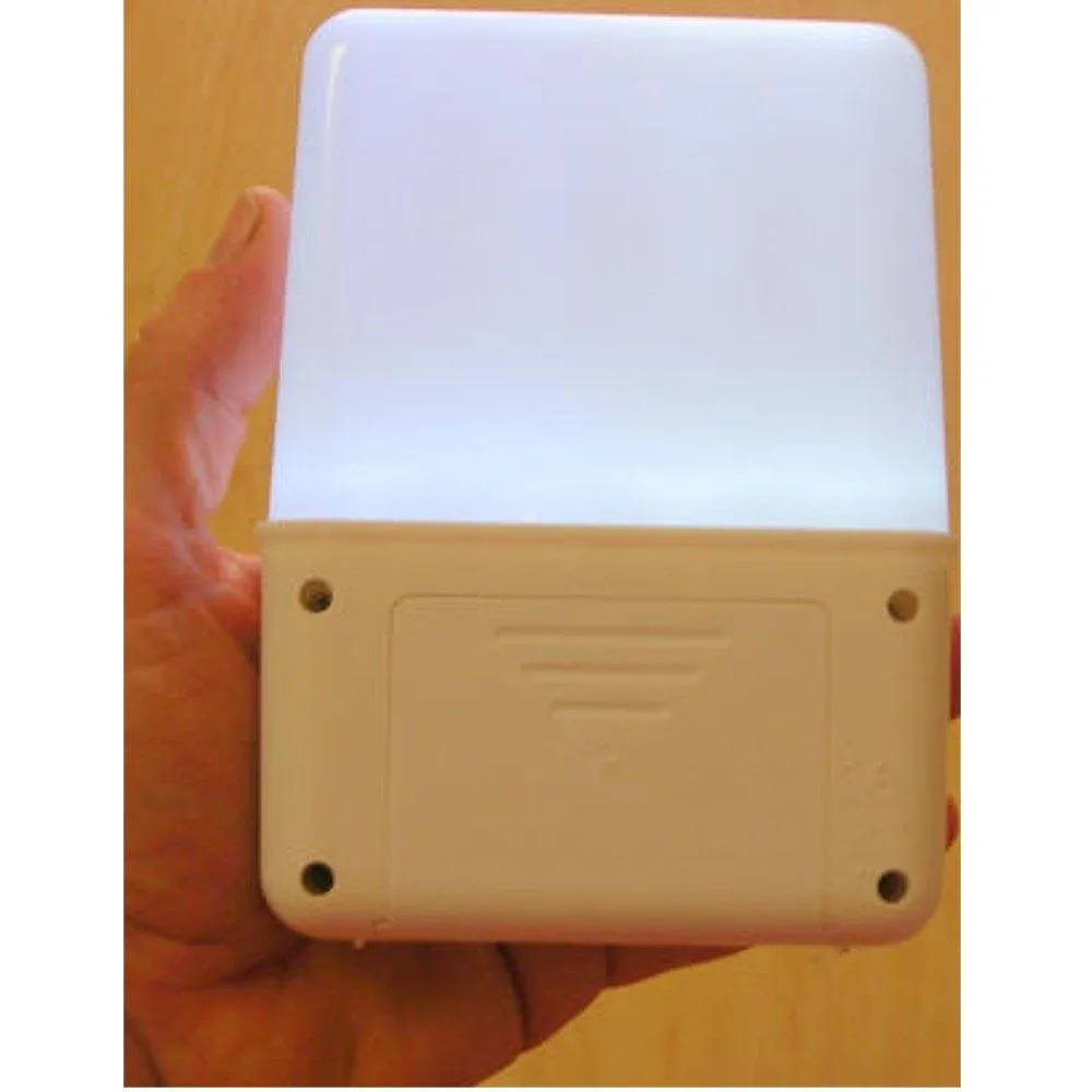Wall Mountable 8 LED light